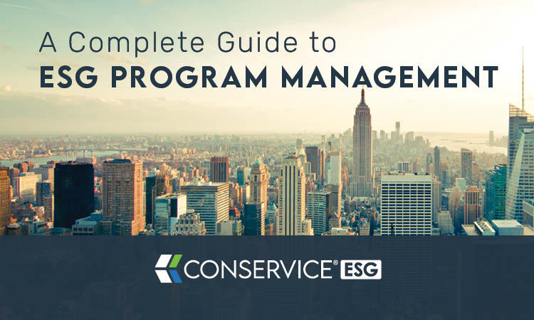 ESG_program_management_guide_TitlePage-2