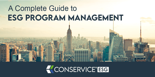 esg-program-management-ebook-preview-image